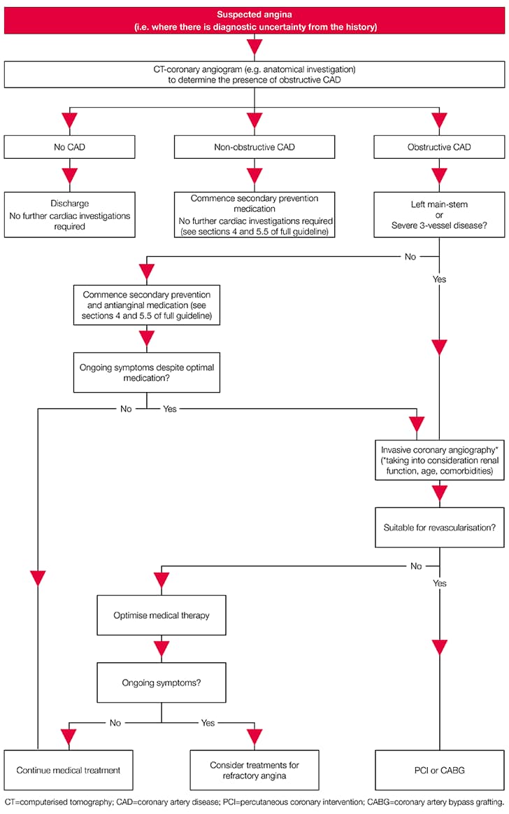 angina-stable-sign-management-in-secondary-care